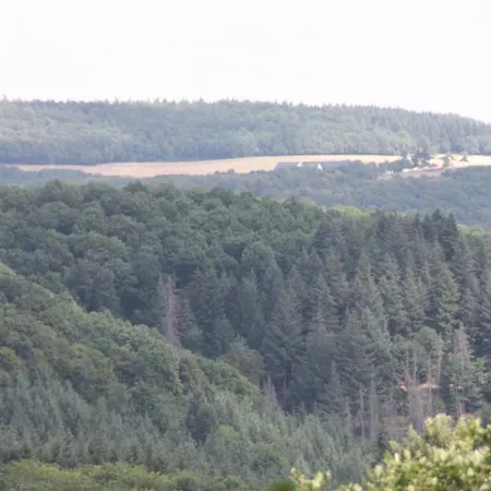 Haus Buchholz Appartement