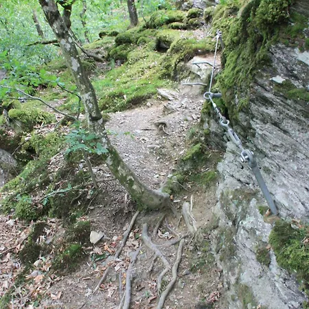 Apartment Haus Buchholz *