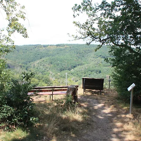 Haus Buchholz Apartment Liesenich