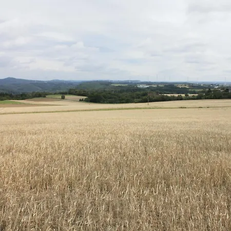 Haus Buchholz * Liesenich