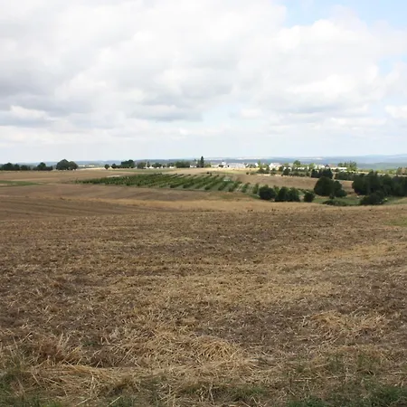 Haus Buchholz Appartement *