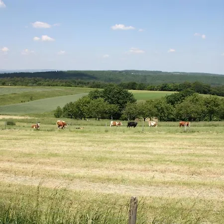 Haus Buchholz Apartment Liesenich