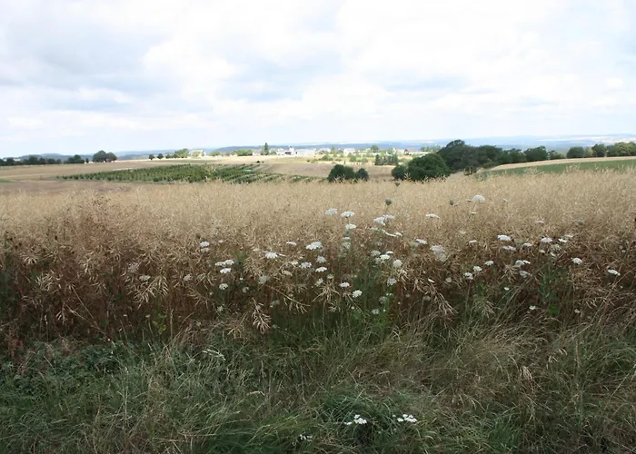 Haus Buchholz * Liesenich