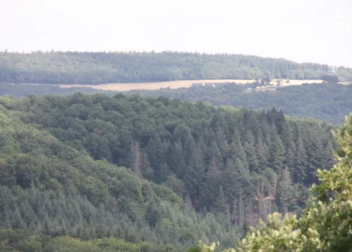 Haus Buchholz Apartamento