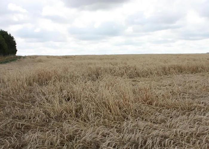 Haus Buchholz Liesenich