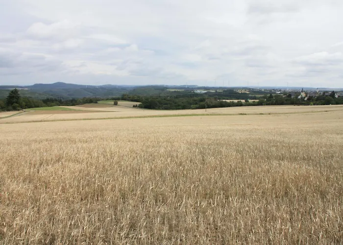 Haus Buchholz * Liesenich