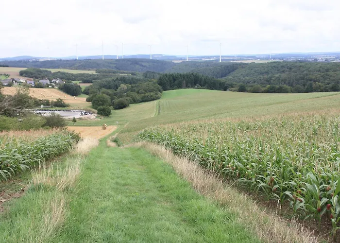 Apartamento Haus Buchholz Liesenich