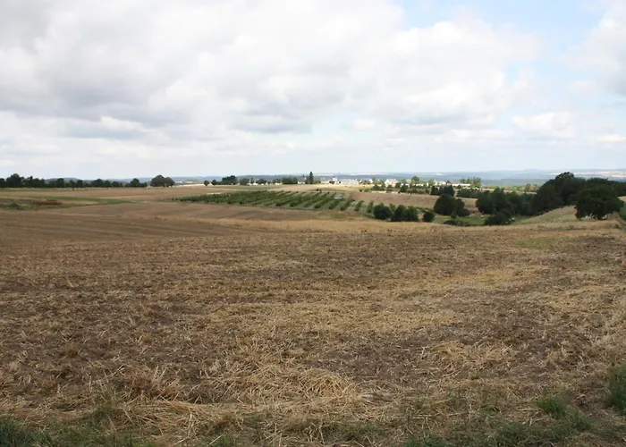 Haus Buchholz Apartamento *