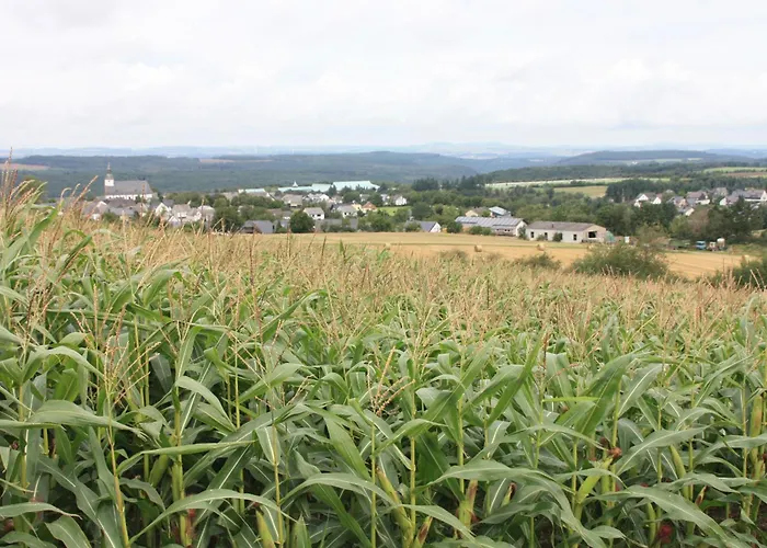 Haus Buchholz * Liesenich