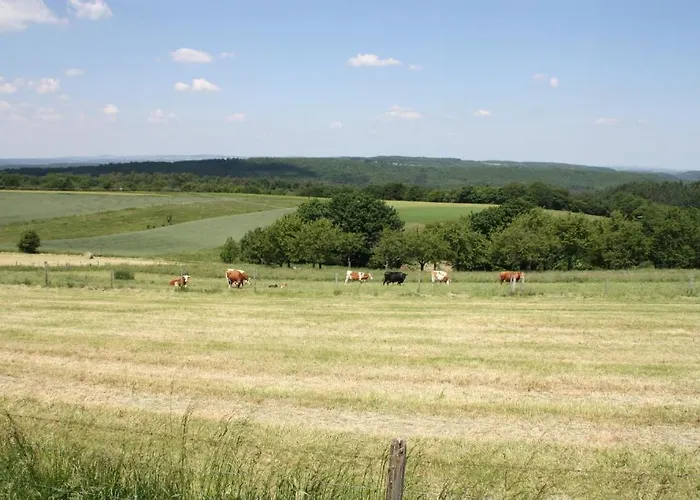 Haus Buchholz Apartamento Liesenich